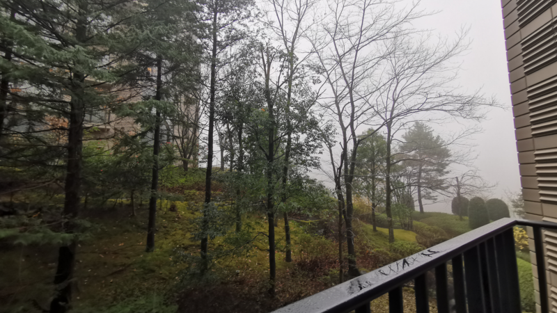 ベランダからの眺め。天気が悪い。