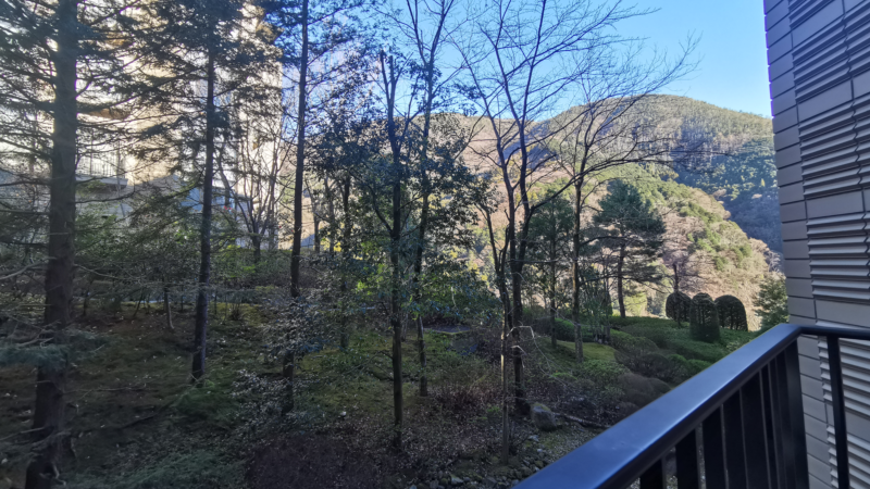 ベランダからの木や山が見える景色