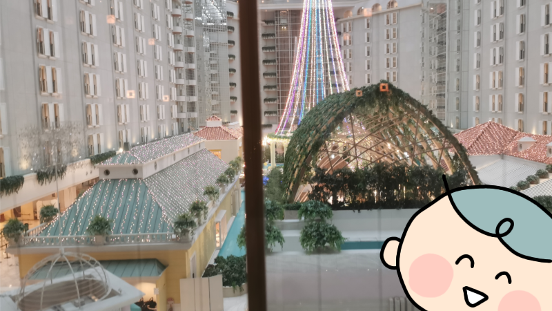 グランドニッコー東京ベイ舞浜のエレベーター内からの景色と男の子